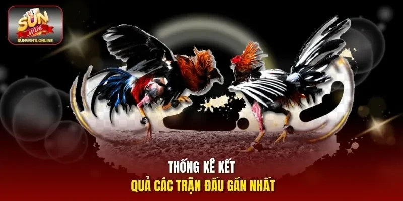 Đá Gà Campuchia - Khám Phá Trò Chơi Cá Cược Đỉnh Cao 2026 4 Sunwin Thống kê kết quả các trận đấu gần nhất
